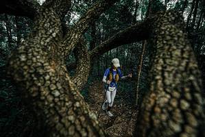 BIB: 
                            <button type="button" onclick="openModal(25692342)" class="btn btn-primary btn-sm float-right btn-popup" data-toggle="modal" data-target=".modal-high-quality">
                        <i class="fas fa-shopping-cart"></i> Add to Cart
                    </button>
                                            <button type="button" onclick="isThisMe(25692342, true)" class="btn btn-success btn-sm float-right btn-popup btn-isme hidden" data-toggle="tooltip" data-placement="bottom" title="นี่คือรูปของคุณใช่ไหม คลิกที่นี่เพื่อเอาเข้าอัลบั้ม">
                        <i class="fas fa-plus"></i> Add to album
                    </button>
                    <button type="button" onclick="isThisMe(25692342, false)" class="btn btn-warning btn-sm float-right btn-popup btn-isnotme hidden">
                        <i class="fas fa-ban"></i> Remove from album
                    </button>